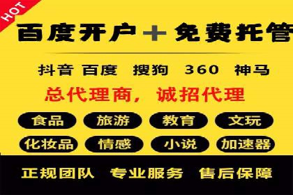 某品牌SEM代运营的成长历程与启示